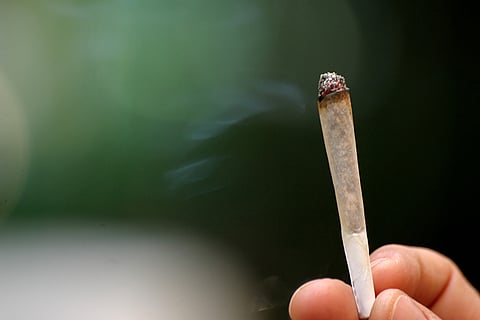 دراسة حديثة تقارن بين تأثير «الحشيش» ومواقع التواصل على المراهقين