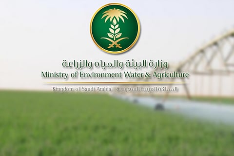 البيئة تحدد إجراءات التعاقد والتعيين لديها