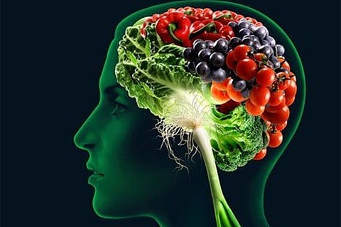 أستاذ تغذية يوضِّح المصادر الصحية لـ«وقود المخ»