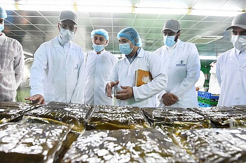 «الغذاء والدواء» تكثِّف جولاتها مع قرب شهر رمضان