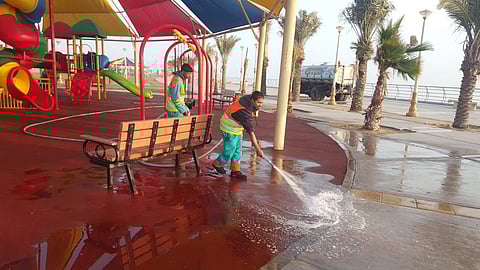 بالصور.. خطة لمكافحة الحشرات ورفع المخلّفات بالدمام