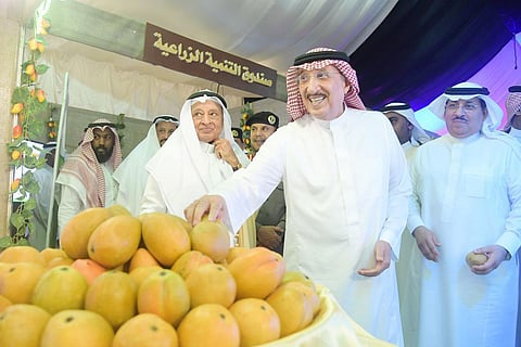 بالصور.. أمير جازان يرعى افتتاح مهرجان المانجو والفواكه الاستوائية