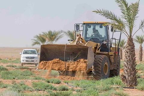 استعادة 100 ألف متر أراضٍ حكومية من متعدّين بمنتزه الدقم