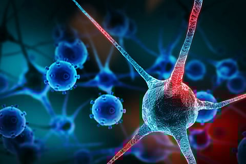 13منتجًا يمنع تطور السرطان