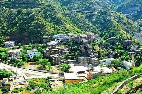 أستاذ اقتصاد يحذر من الاقتصار على الدور الحكومي بمشروع تطوير قرى عسير