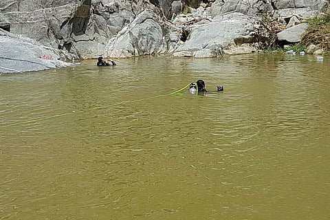 لليوم الثاني.. «الدفاع المدني» يواصل البحث عن طفل غريق بوادي جيزان