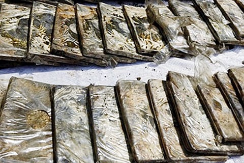 القبض على 3 أتراك حاولوا تهريب 7 أطنان حشيش إلى ليبيا