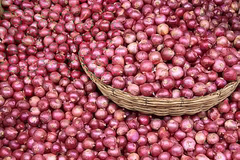 «البيئة» ترفع الحظر عن استيراد البصل من مصر