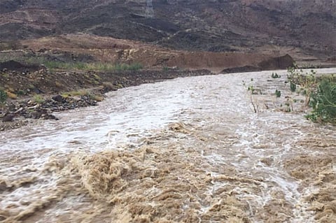 سيلان أودية وشعاب في عدة محافظات بالمملكة جراء الأمطار الغزيرة