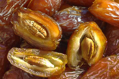 الخضيري: لا ضرر من تناول «القطمير»