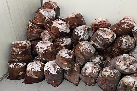 أمانة الرياض تضبط مَسكنين يُستخدمان لتخزين الكبدة غير الصالحة