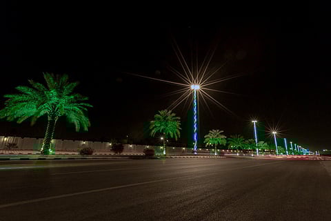 بالصور.. أمانة القصيم تزيّن الشوارع بـ700 ألف زهرة لاستقبال عيد الفطر