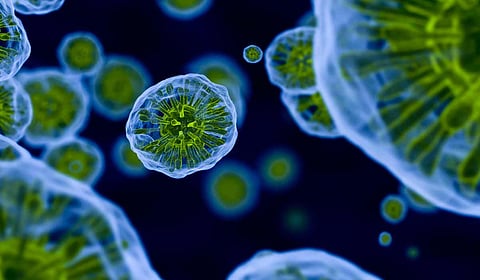 «الميكروبيوم» يتنبأ بالسكري والولادة المبكرة وأمراض الأمعاء