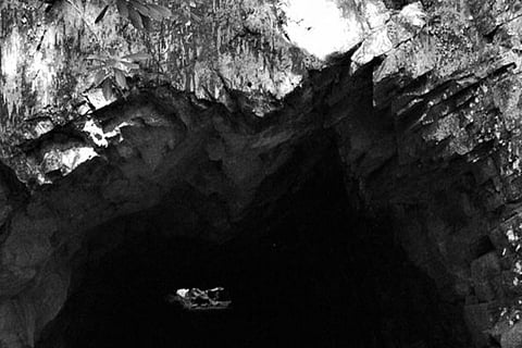 بالصور.. قصة رجل احتجزه دبٌ شهرًا كاملًا داخل كهف تثير دهشة الأطباء