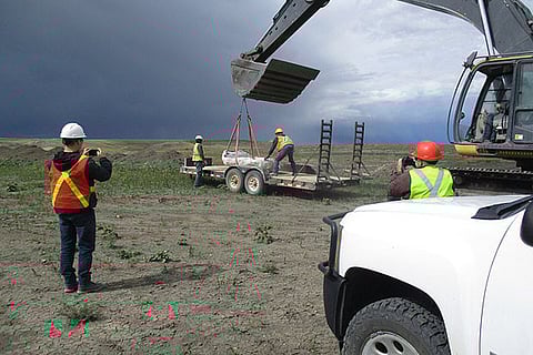 بالصور.. العثور على هيكل عظمي نادر يفوق عمره 70 مليون سنة
