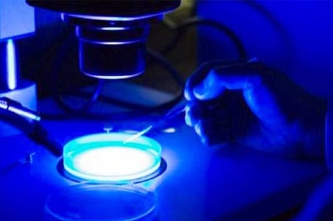 دراسة: التعرض للضوء الأزرق ليلًا ساعة واحدة يؤدي للإصابة بالسكري