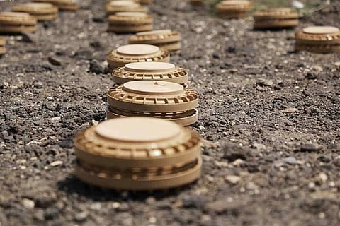 مركز الملك سلمان للإغاثة يُزيل 901 لغم حوثي