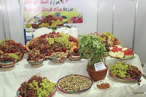 أكثر من ٢٠٠ طن فواكه ومليون ونصف ريال حجم مبيعات مهرجان الفاكهة بطبرجل