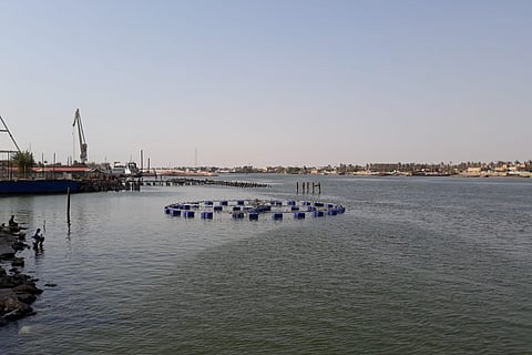 البنك الدولي يحذّر من أزمة في جودة المياه تهدّد البشر والبيئة