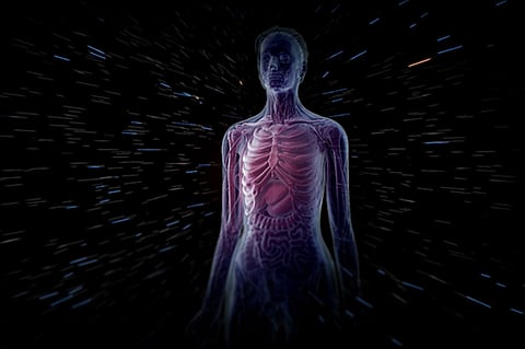 5 فوائد لـ«العضو الرائع» في جسدك.. يعالج 200 لتر من الدماء ويزيل النفايات