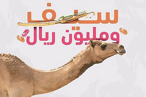 5 سعوديين يتصدرون قائمة ملّاك الهجن الأعلى نقاطًا بمهرجان ولي العهد بالطائف