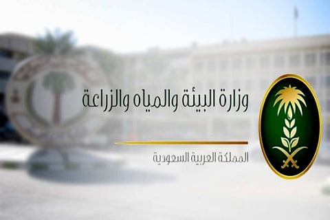 «البيئة» تدعو 632 مرشحًا على وظائفها للمقابلة الشخصية ومطابقة بياناتهم