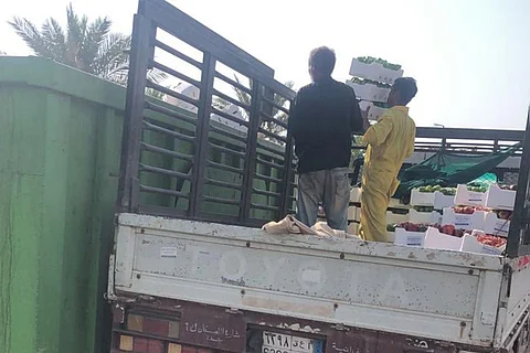 بالصور.. ضبط فلفل رومي يحتوي على بقايا مبيدات حشرية