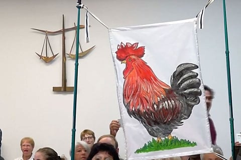 انتهاء أزمة الديك موريس.. والقضاء يسمح له بالاستمرار في العمل