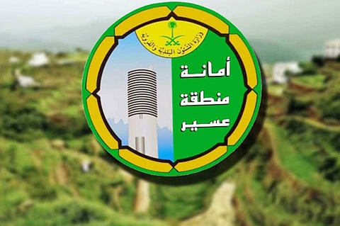 إتلاف طن من الأغذية الفاسدة وغلق 88 محلًا في عسير