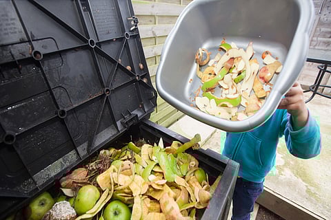 9 نصائح عملية للحد من النفايات الغذائية