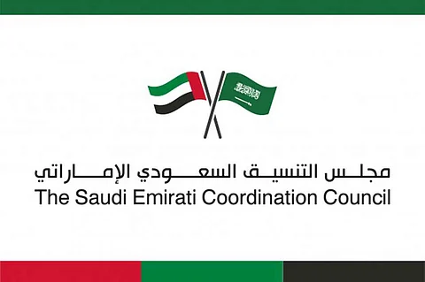 اللجنة السعودية الإماراتية للتعاون الإعلامي تناقش تعزيز الاستراتيجيات المشتركة بين البلدين