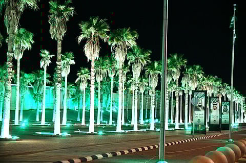 بالصور.. الأعلام الخضراء تزين طرق عرعر ومحافظاتها