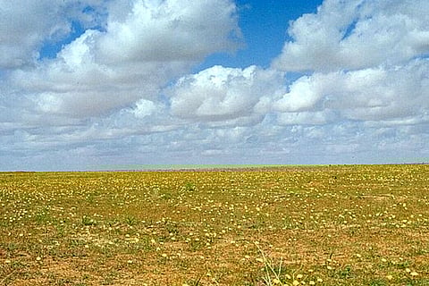 الزعاق: 12 يومًا متبقيًا على أجمل وألطف مواسم السنة