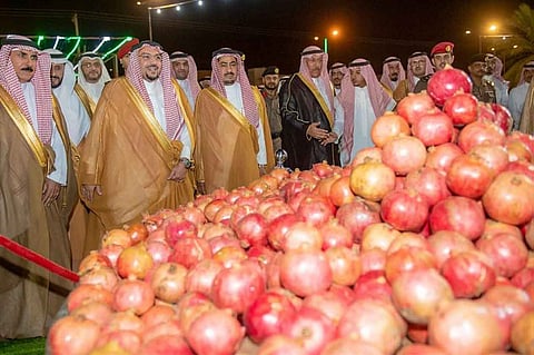 أمير القصيم يرعى اليوم الذهبي لمهرجان الرمان بمركز الشيحية