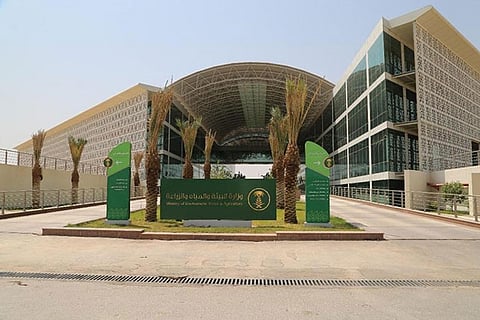 «البيئة» تطلق حملة التشجير لزراعة 50 ألف شجرة بمتنزه ثادق بالرياض