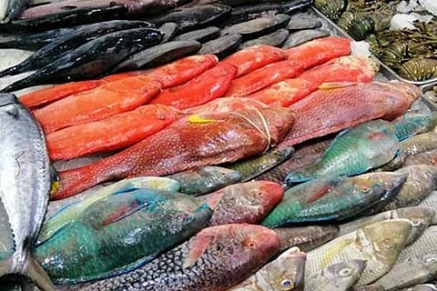 مصادرة حمولة ثلاثة قلابات لحوم وأسماك فاسدة بمكة