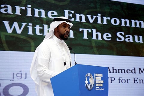 السعودية تحقق قفزات نوعية في مجالات النقل البحري.. وتعتمد كليتين في ذات التخصص