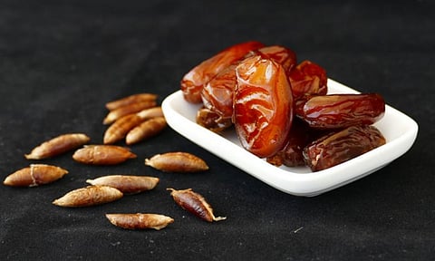 أستاذ علم عقاقير يوضح مخاطر تحميص نواة التمر كبديل للقهوة