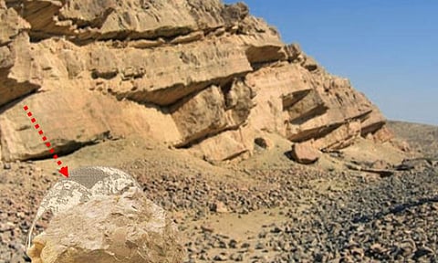 طالبة سعودية تخترع خيمة تمويه عسكرية.. وألمانيا تمنحها «الذهبية»