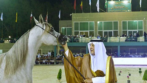 بالصور.. الفيصل يُتوِّج الفائزين بالمراكز الأولى في بطولة مكة المكرمة لجمال الجواد العربي