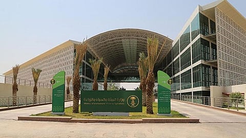 «البيئة» تحذّر: غرامة 50 ألف ريال تنتظر قاطعي الأشجار