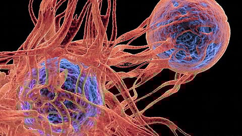 دراسة حديثة: الناجون من السرطان أكثر عرضة لأمراض القلب