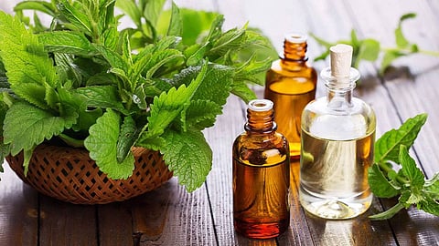 أفضل 5 زيوت للعناية بشعرك في فصل الشتاء