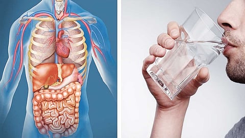 الخضيري يُحذر من تغير لون البول.. ويوضح كيفية قياس ماء الجسم