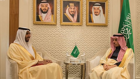 بالصور.. وزير الخارجية يستعرض مع السفير الإماراتي تعزيز العلاقات الثنائية