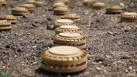 «مسام» ينتزع 4,536 لغمًا حوثيًّا مضادة للأفراد والدبابات