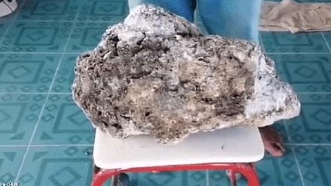 عامل نظافة يعثر على كنز ثمين في «قيء حوت» بتايلاند