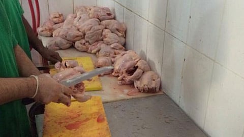 ضبط 36 مخالفة صحية بالمطاعم والمنشآت الغذائية بالطائف