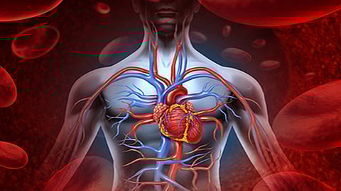 الدكتور النمر يحدد طريقة «تنظيف الشرايين» من الكولسترول
