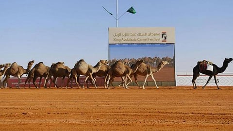 «بن دلمخ وبن فنيسان» يحتكران أول الوضح والشقح في فئة 20 بكأس النادي